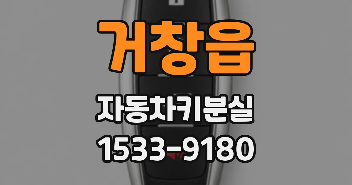 거창읍 자동차키분실