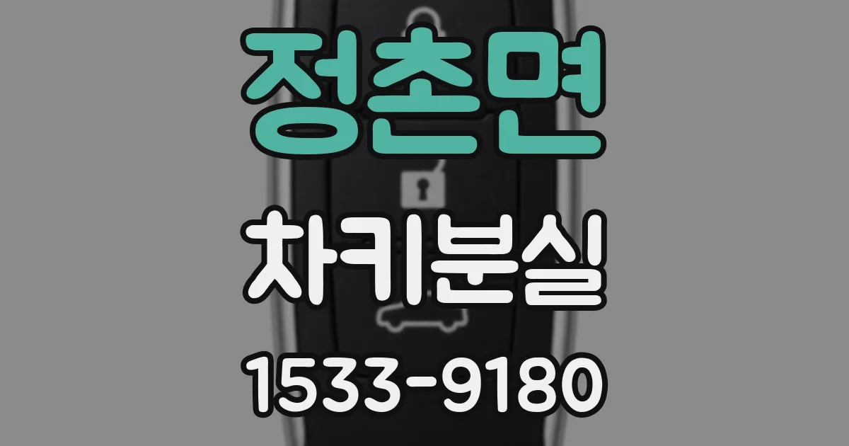 정촌면 차키분실