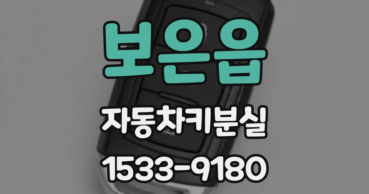 보은읍 자동차키분실