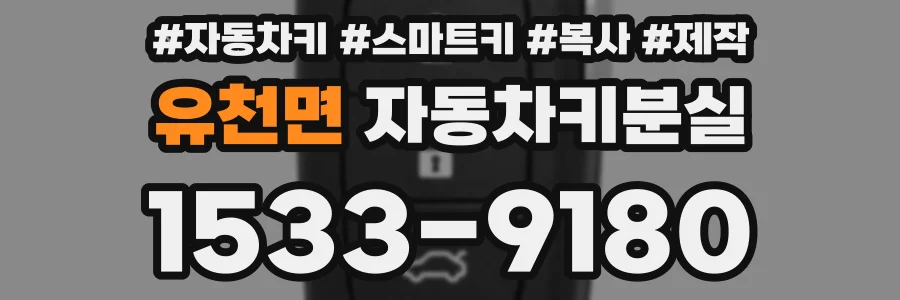 유천면 자동차키분실