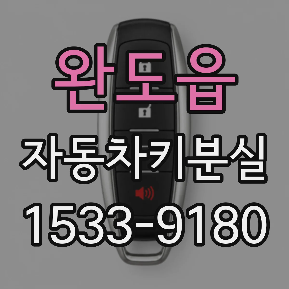 완도읍 자동차키분실