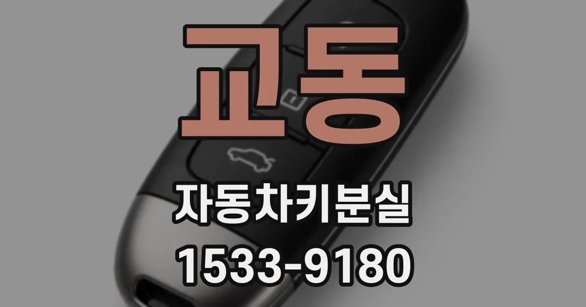 교동 자동차키분실