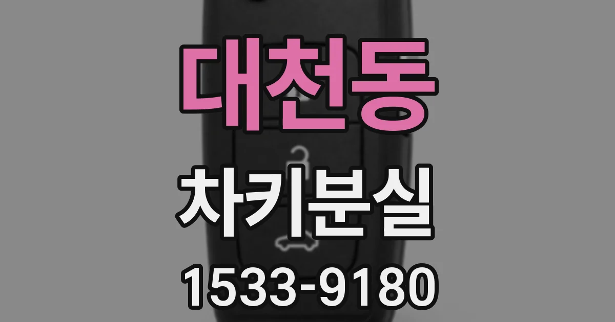 대천동 차키분실