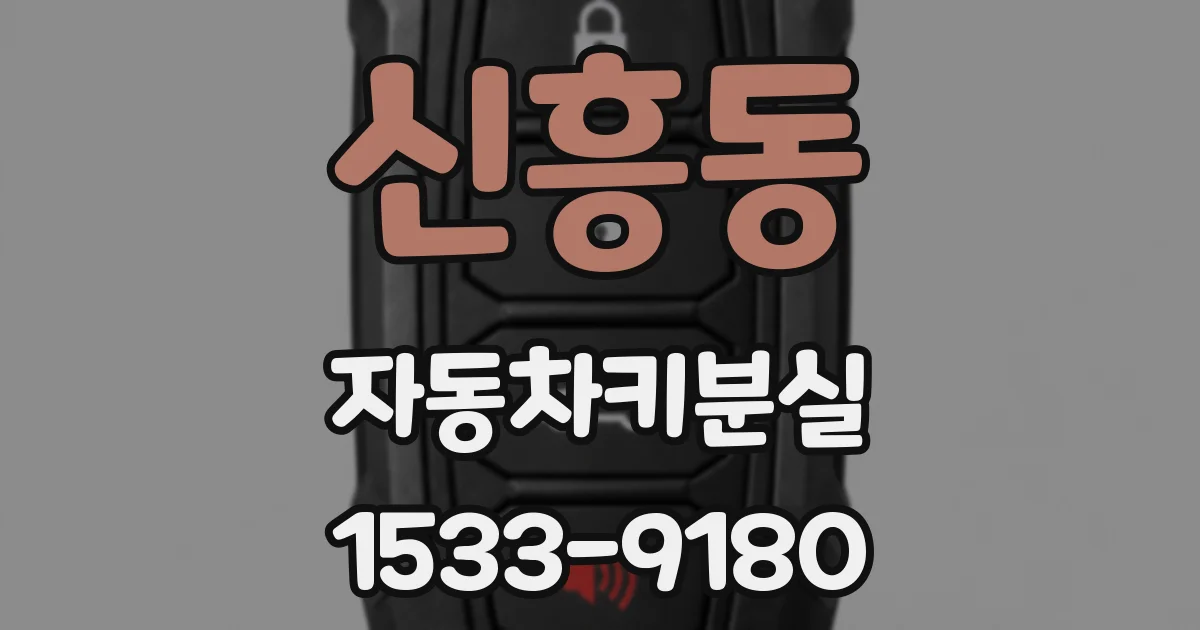 신흥동 자동차키분실