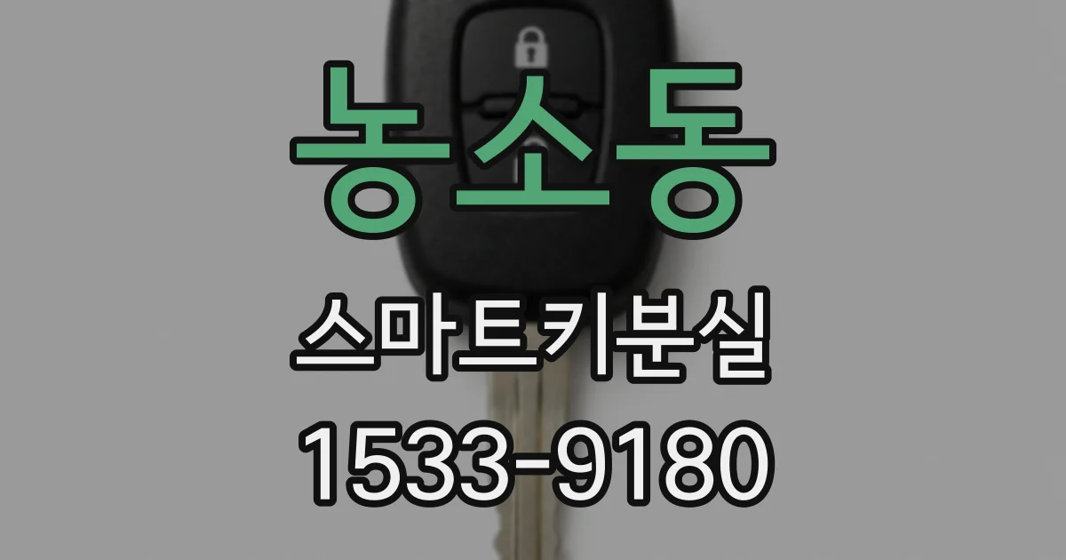 농소동 스마트키분실
