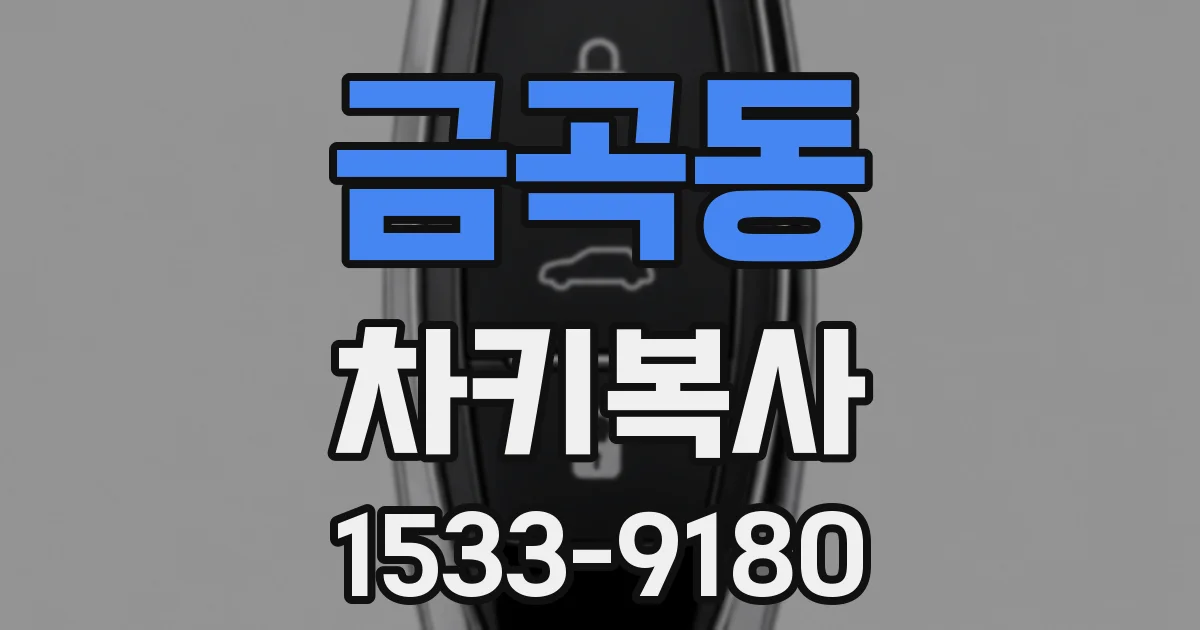 금곡동 차키복사
