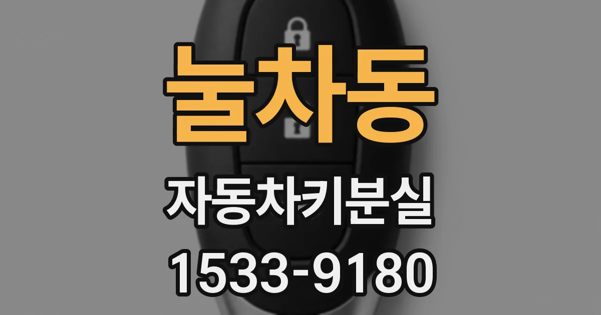 눌차동 자동차키분실