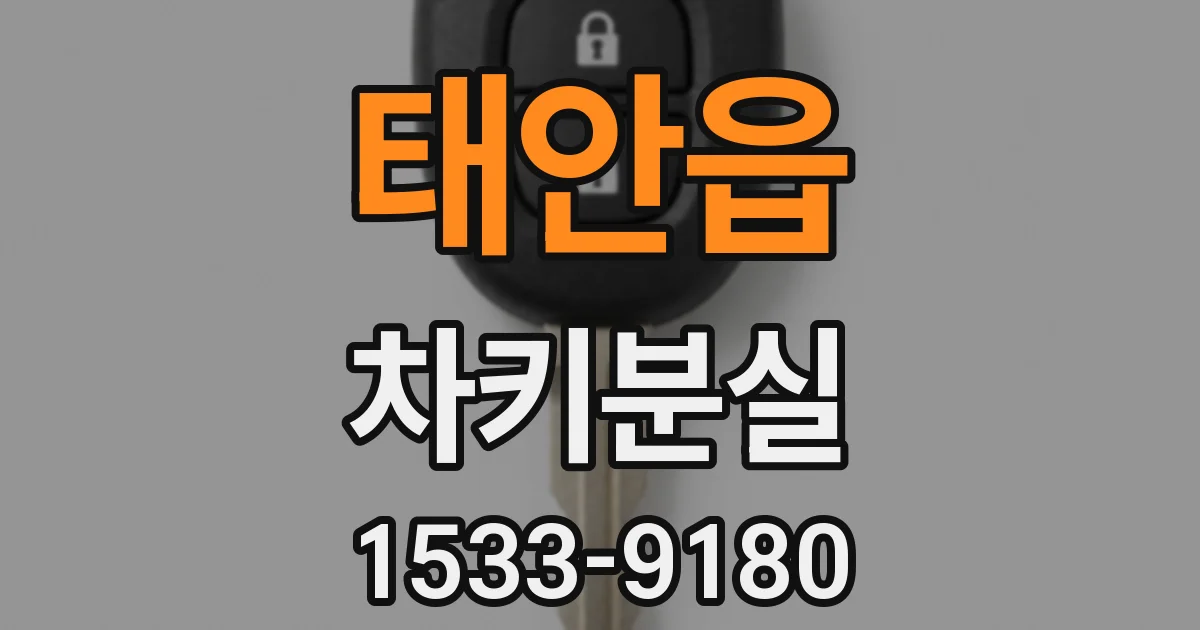태안읍 차키분실