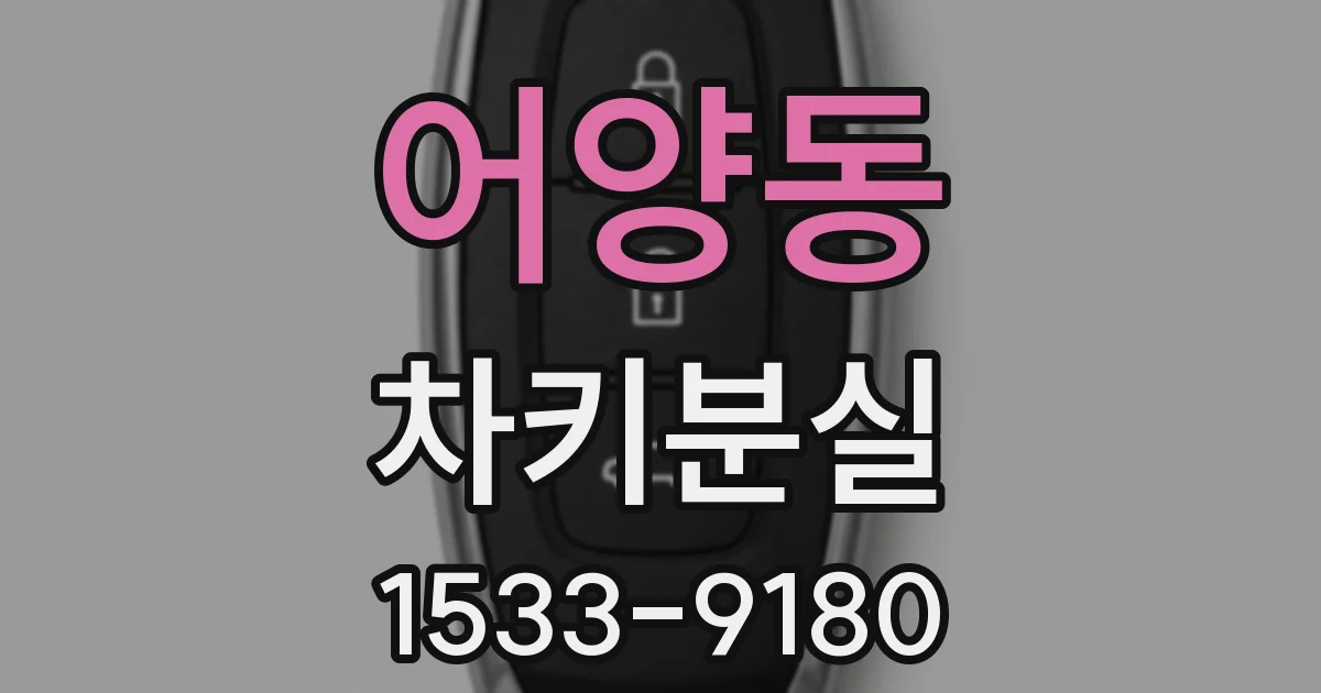 어양동 차키분실