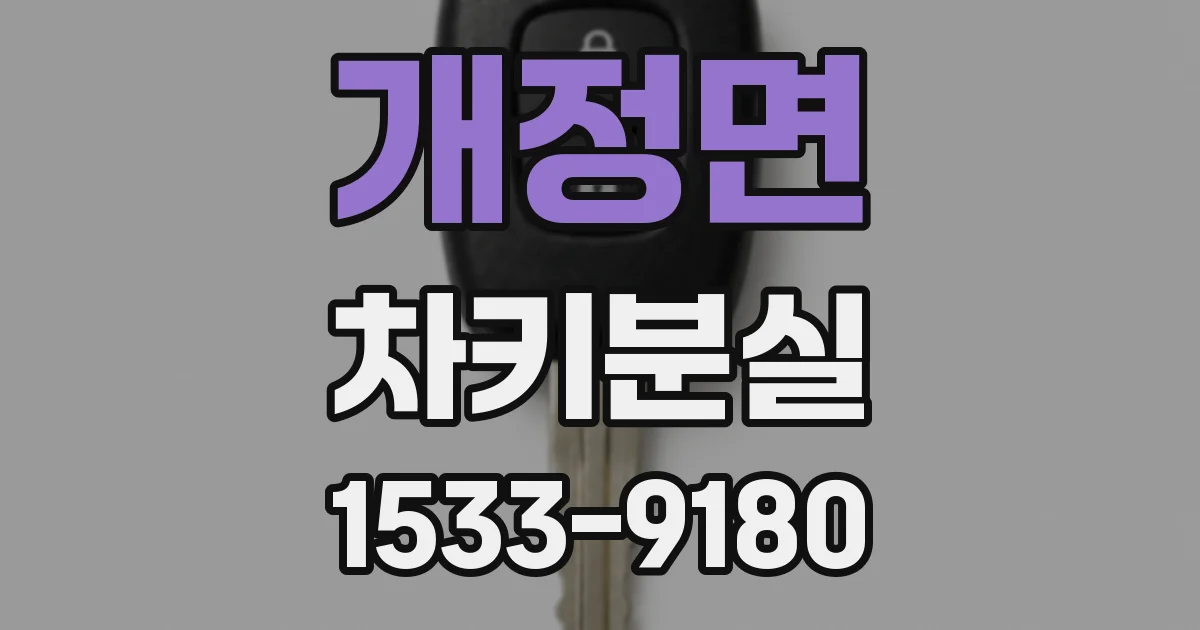 개정면 차키분실