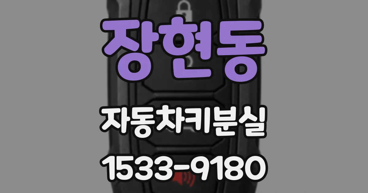 장현동 자동차키분실