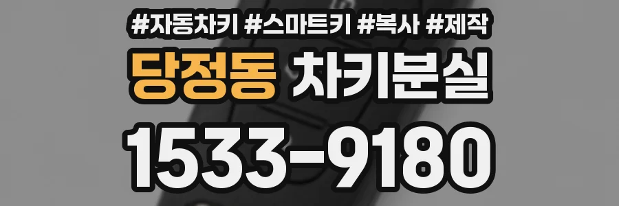 당정동 차키분실