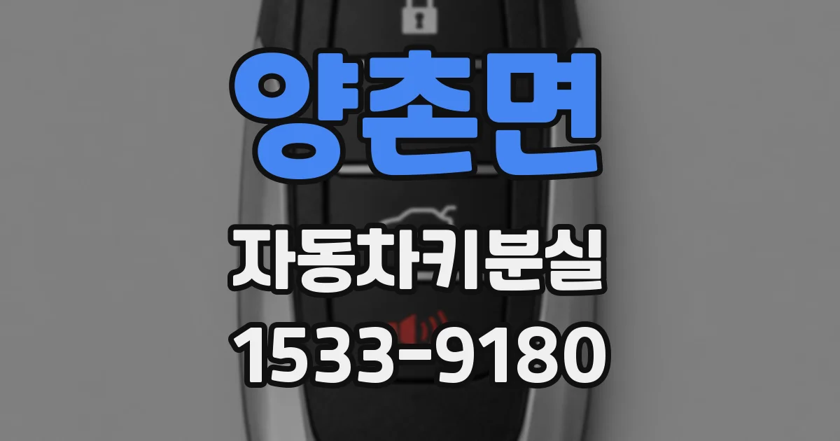 양촌면 자동차키분실