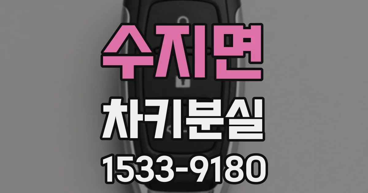 수지면 차키분실