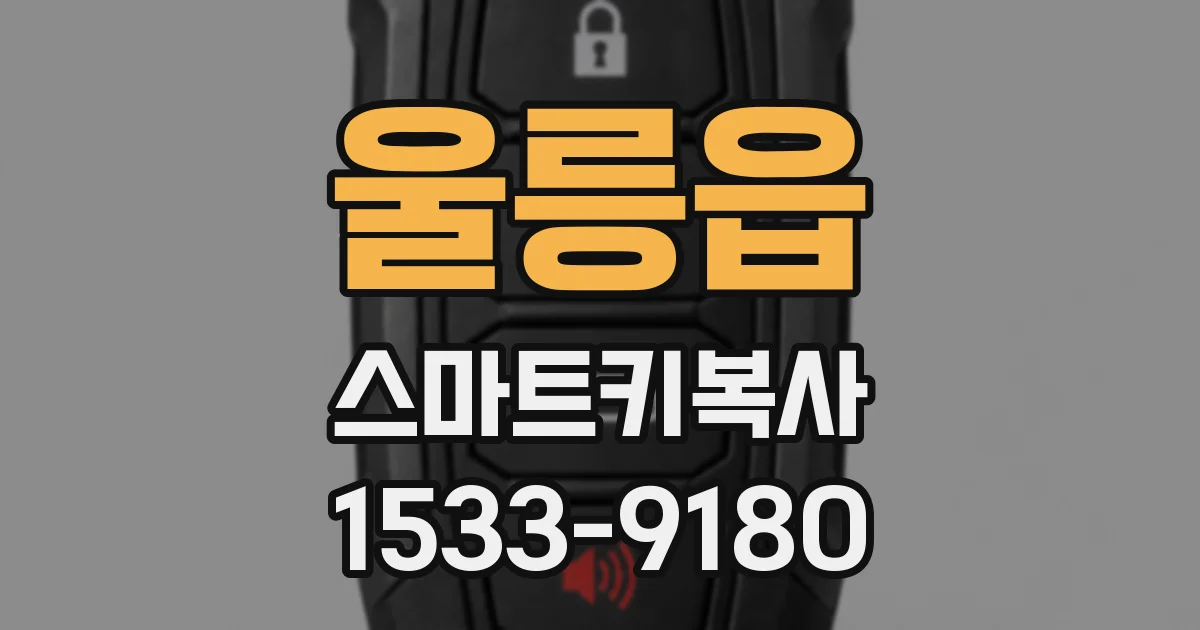 울릉읍 스마트키복사