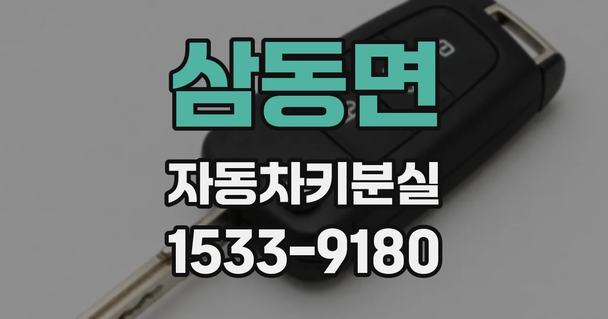 삼동면 자동차키분실