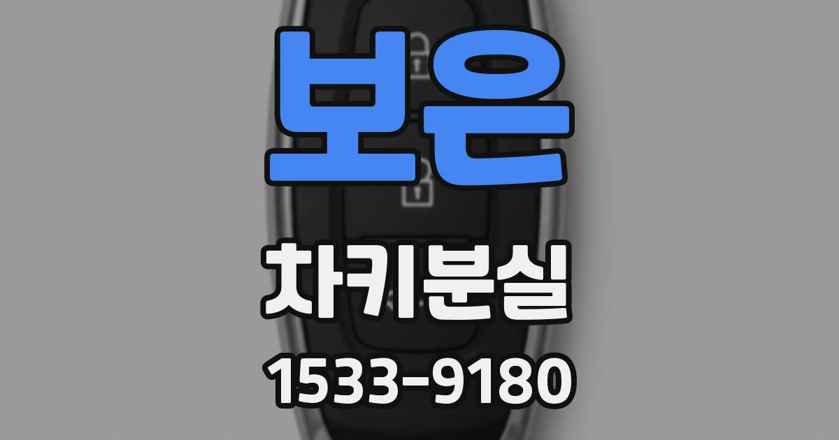 보은 차키분실