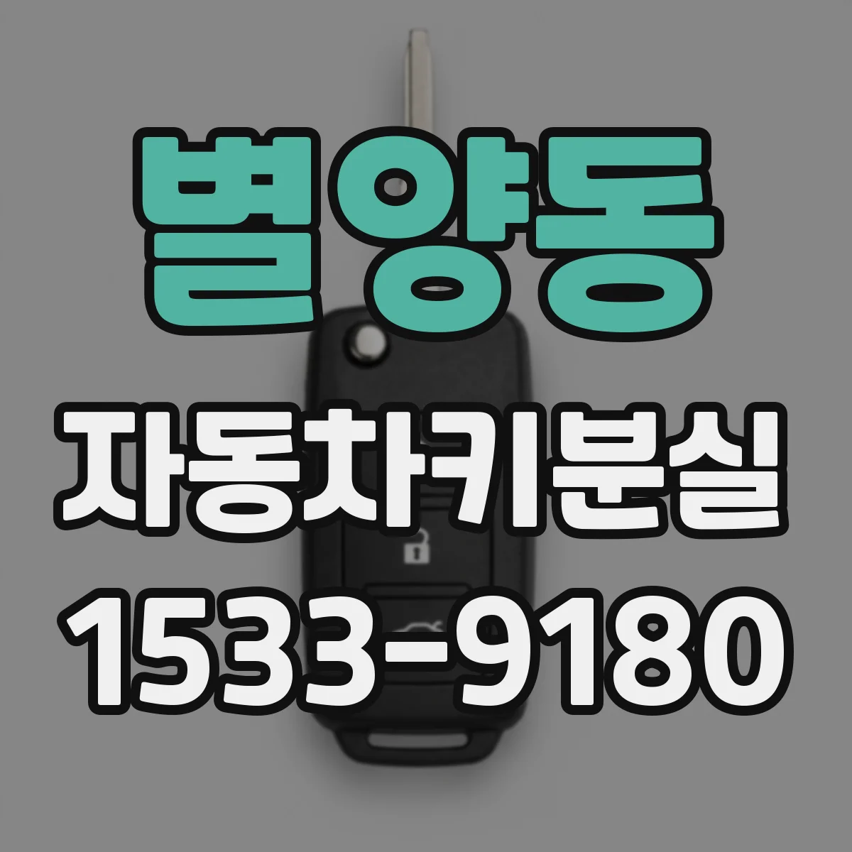 별양동 자동차키분실