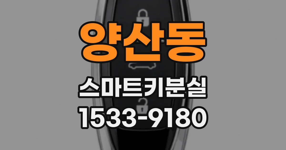 양산동 스마트키분실