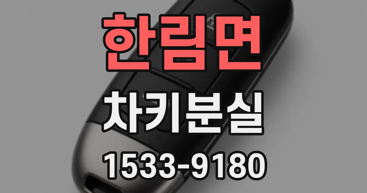 한림면 차키분실