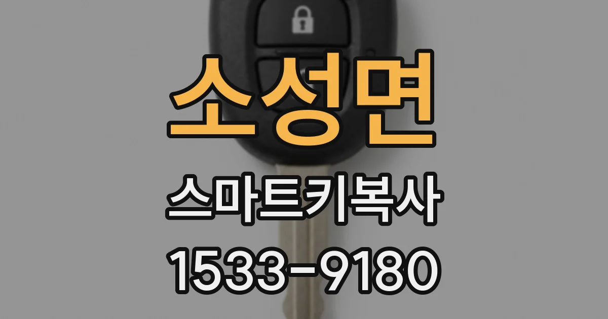소성면 스마트키복사