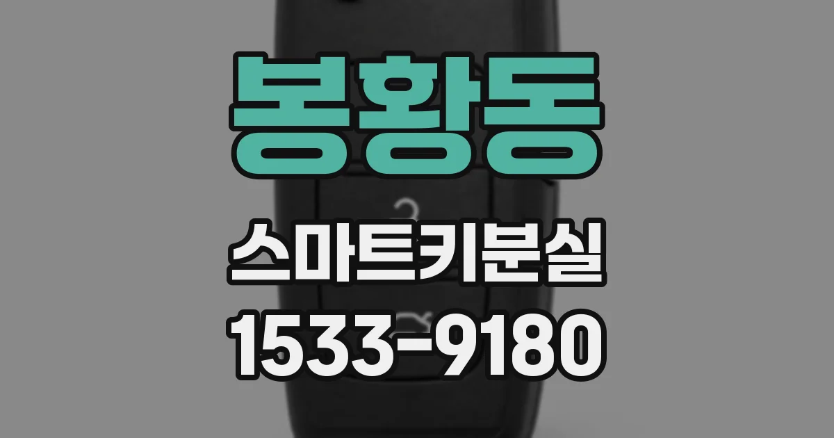 봉황동 스마트키분실