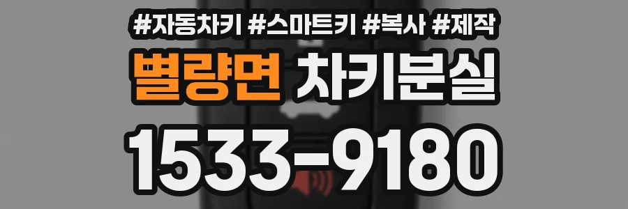 별량면 차키분실
