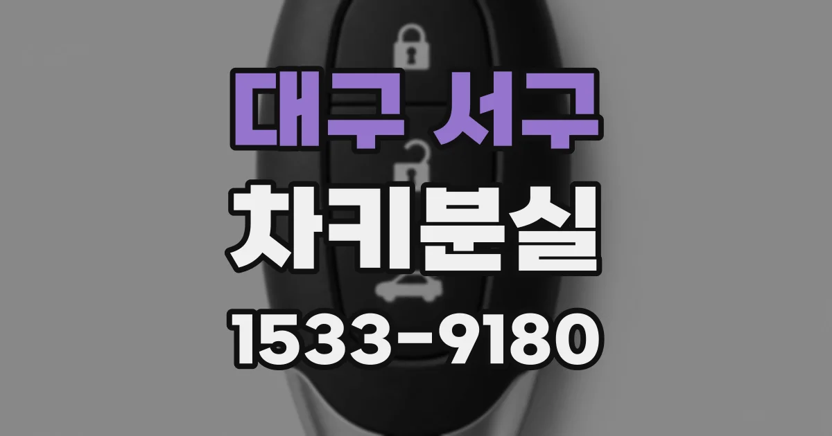 대구 서구 차키분실