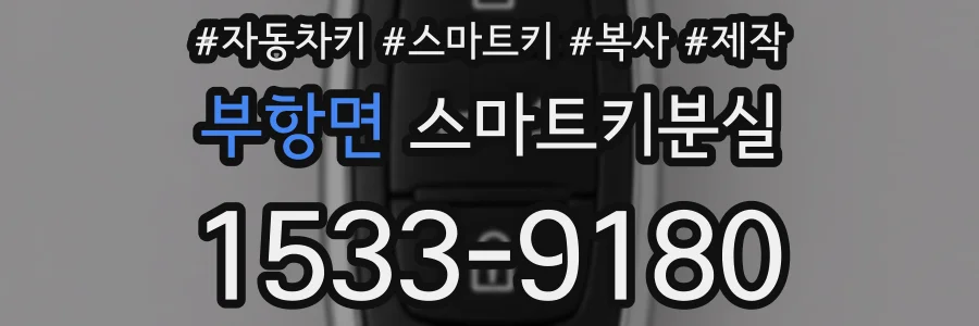 부항면 스마트키분실