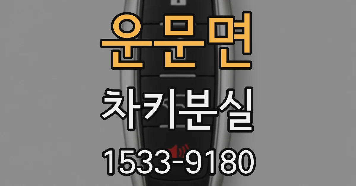 운문면 차키분실