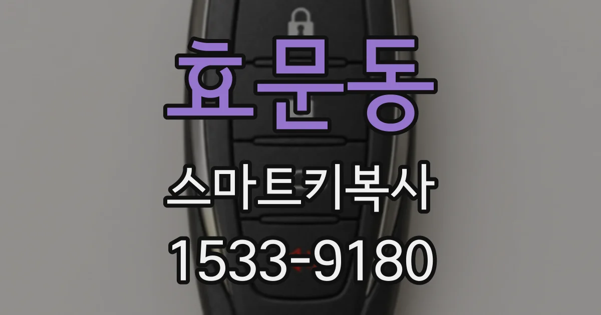 효문동 스마트키복사