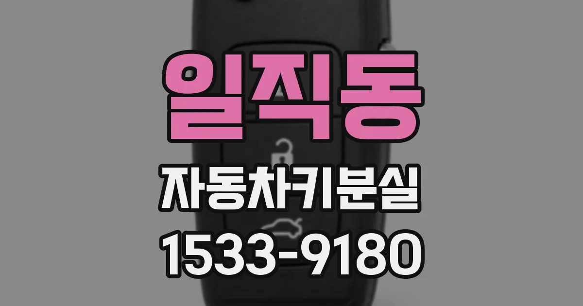 일직동 자동차키분실