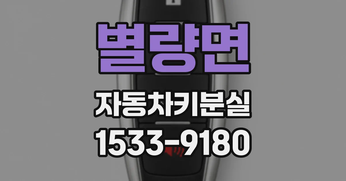 별량면 자동차키분실