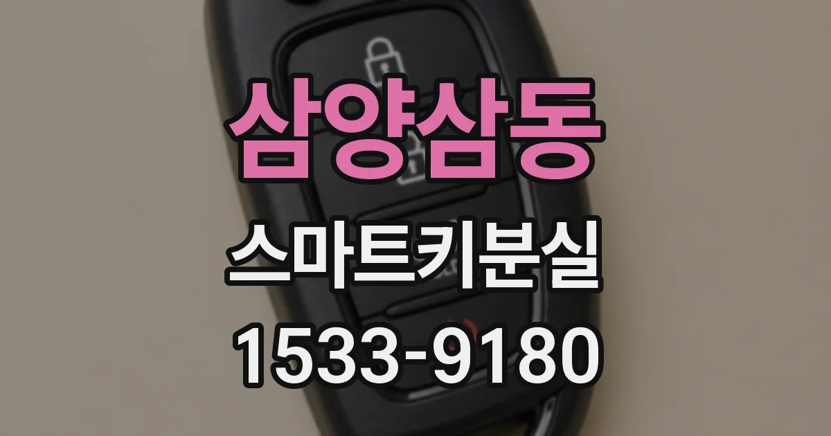 삼양삼동 스마트키분실