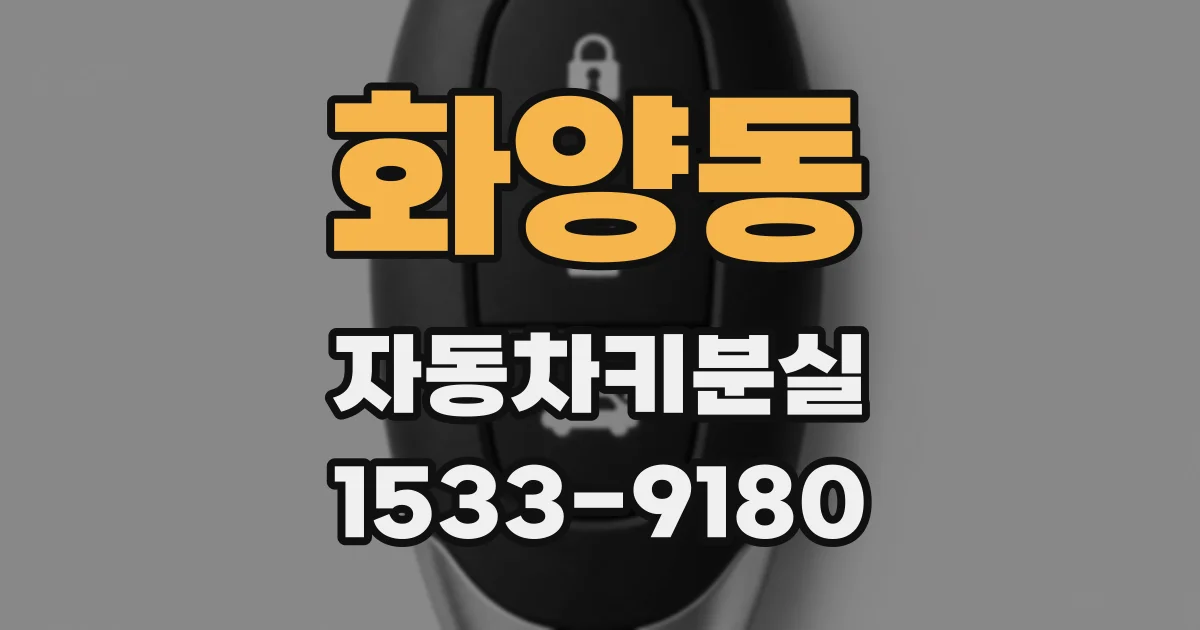 화양동 자동차키분실