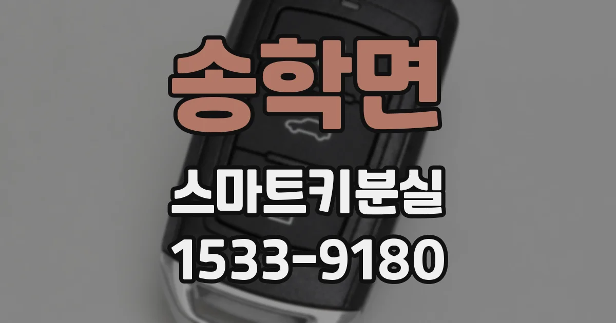 송학면 스마트키분실
