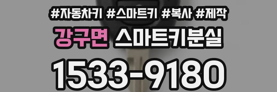강구면 스마트키분실