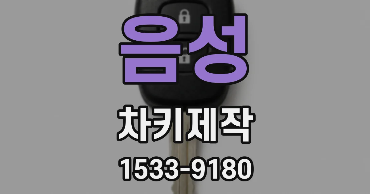 음성 차키제작