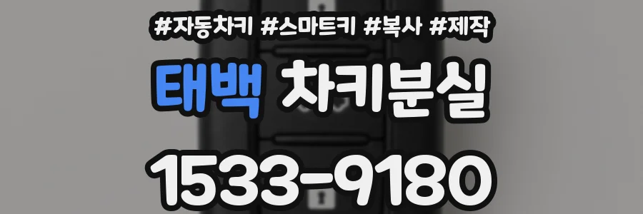 태백 차키분실