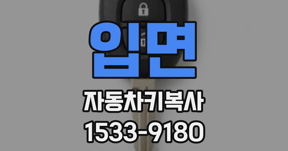 입면 자동차키복사