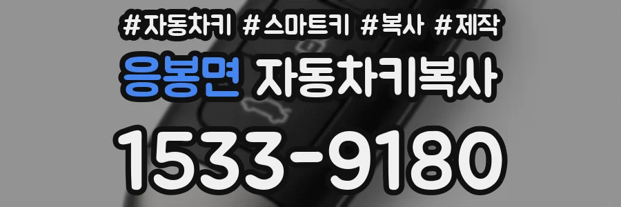 응봉면 자동차키복사