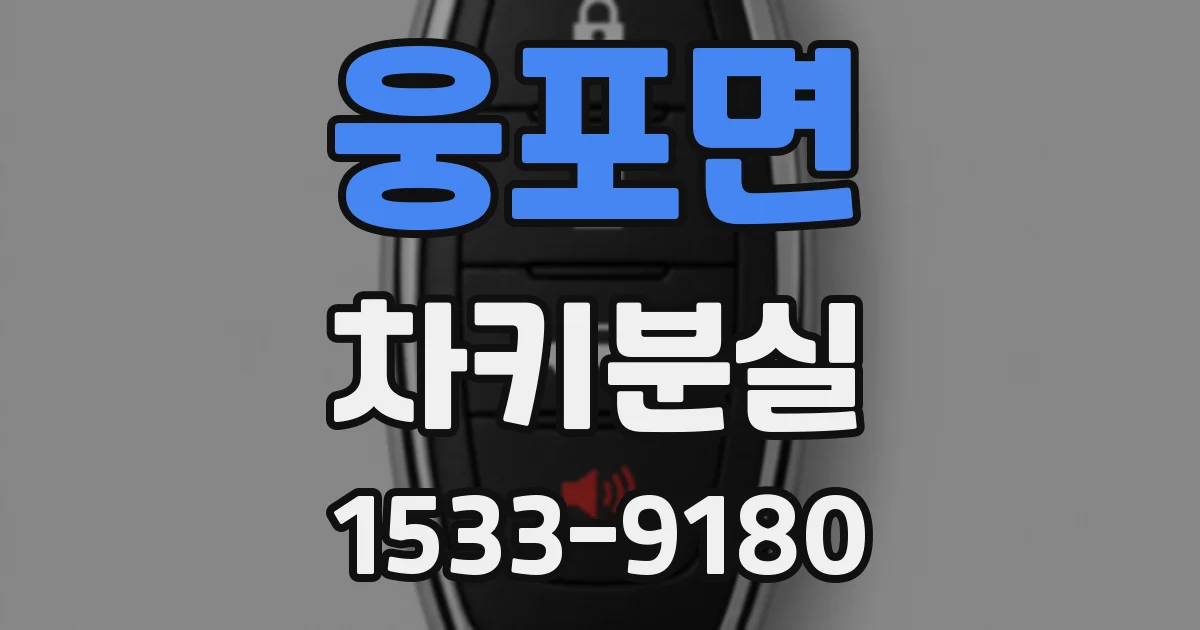 웅포면 차키분실