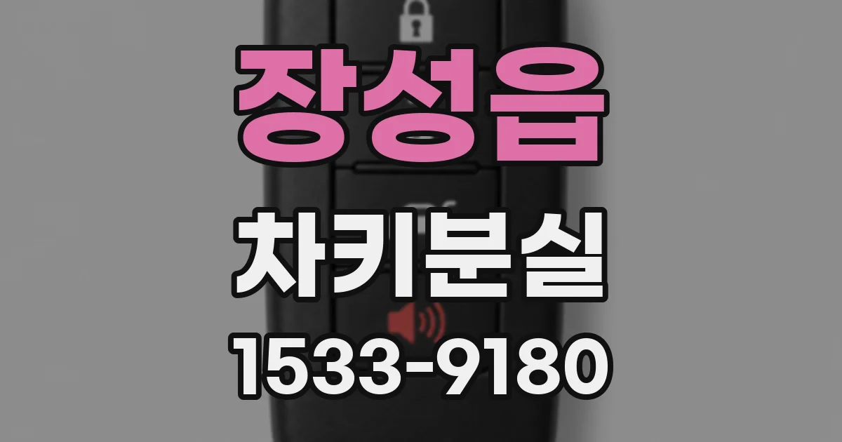장성읍 차키분실