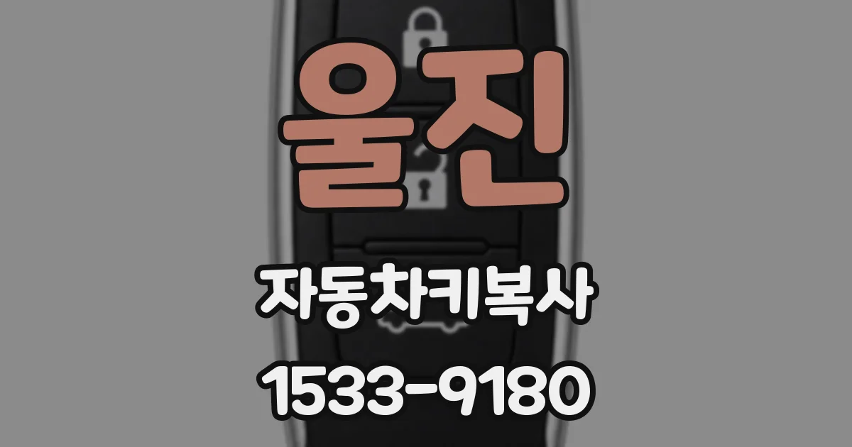 울진 자동차키복사