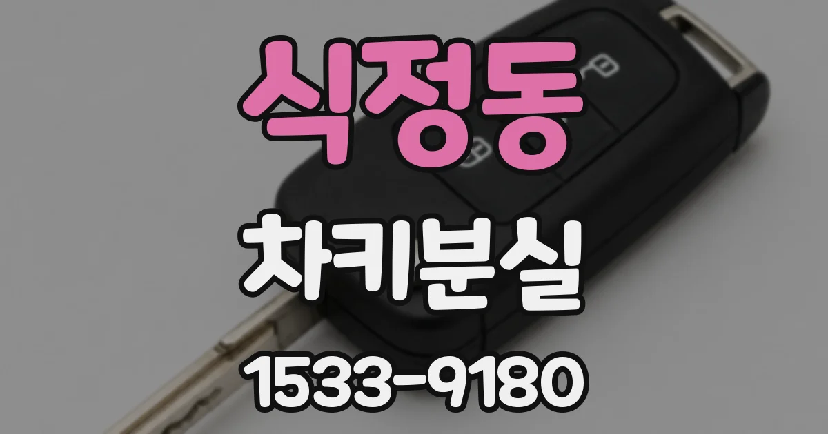 식정동 차키분실