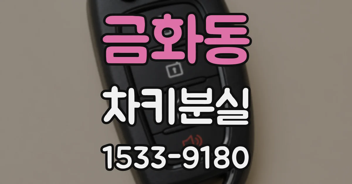 금화동 차키분실