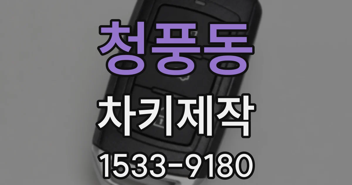 청풍동 차키제작