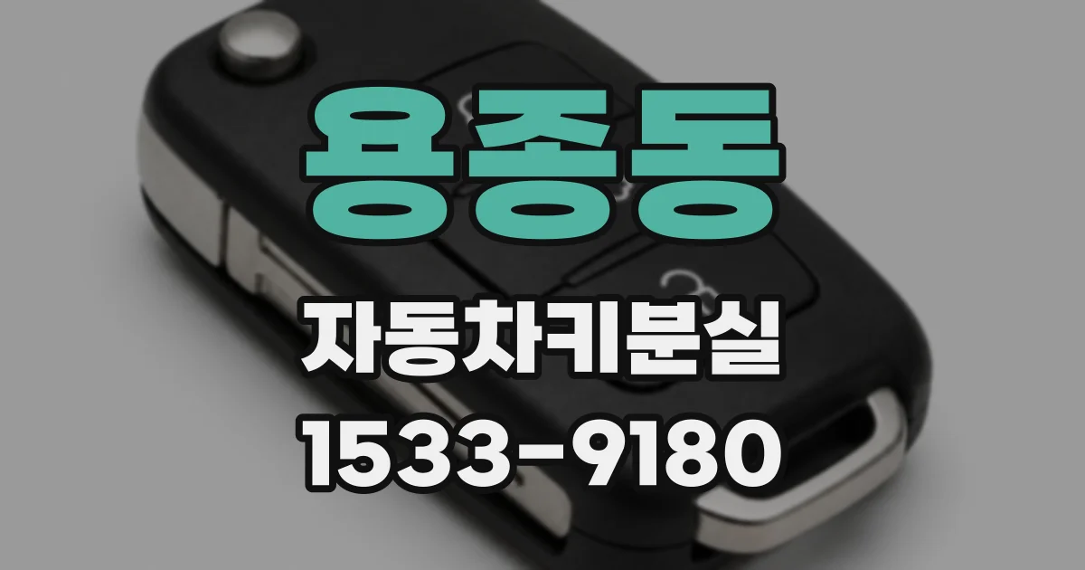용종동 자동차키분실