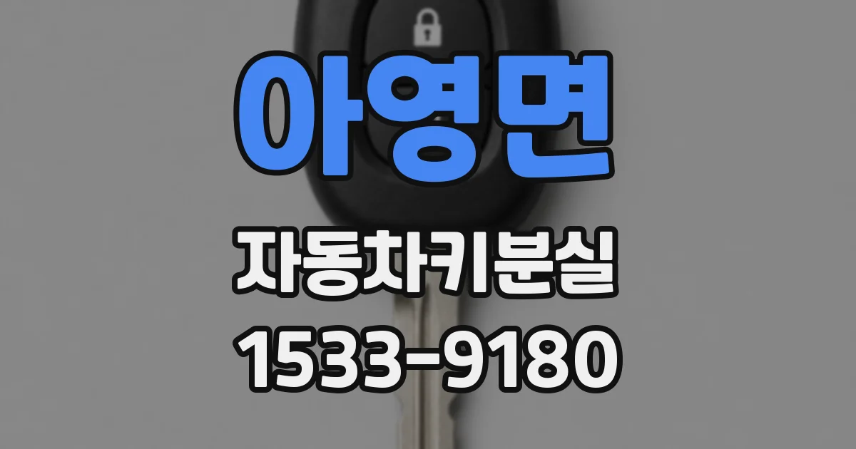 아영면 자동차키분실