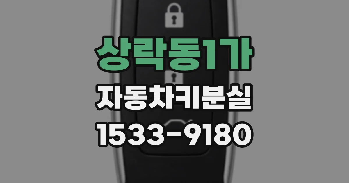 상락동1가 자동차키분실